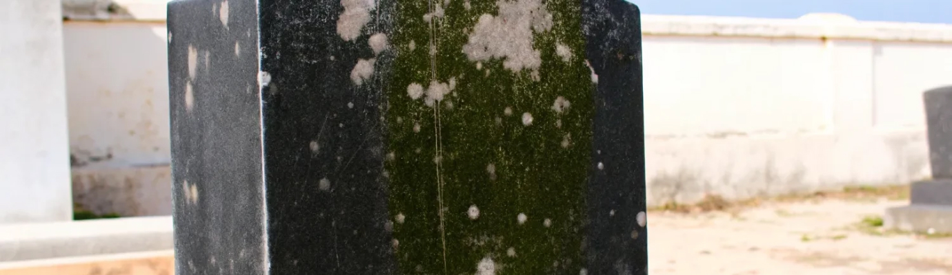 Белые пятна на гранитном памятнике: причины и устранение