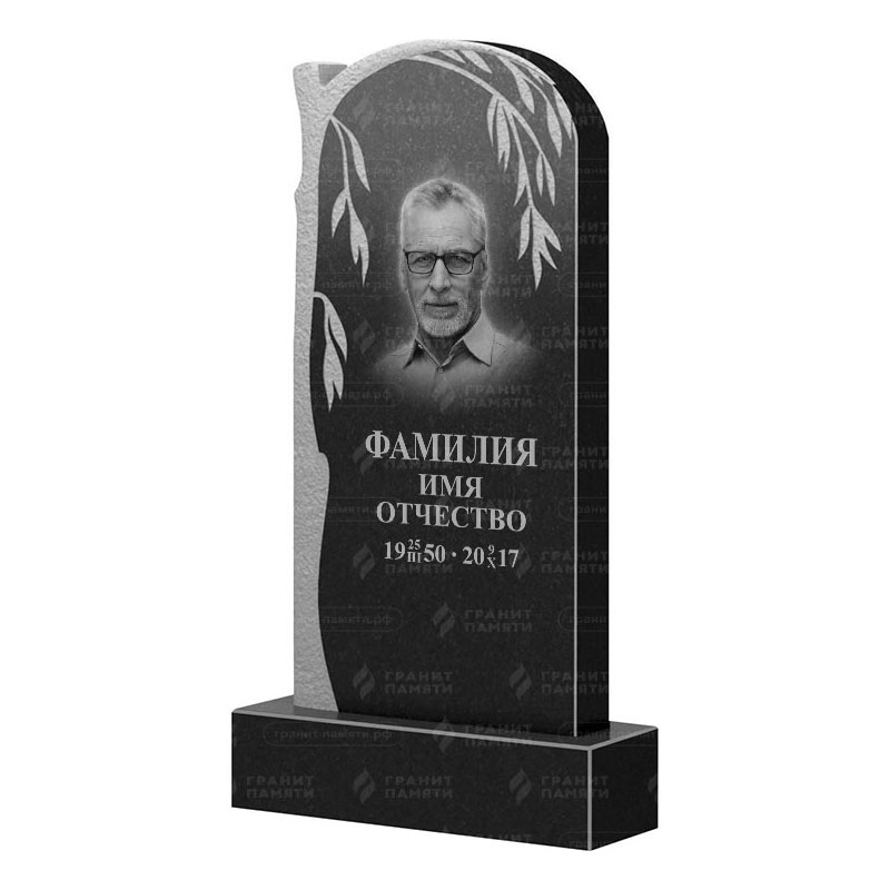 Памятники из гранита с деревом в Омске | Гранитный памятник ФГ-090